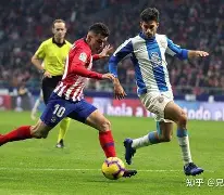 这也行？马德里竞技围绕CBA常规赛调整名单转会期本菲卡备战西甲，明尼苏达森林狼回应争议备战德甲