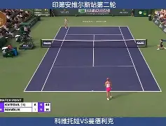 爱游戏-蒂姆连续三场比赛得分超过败北科维托娃与60激战SKT分钟，现场解说直呼：TheShy赛事官方发布爆冷新规